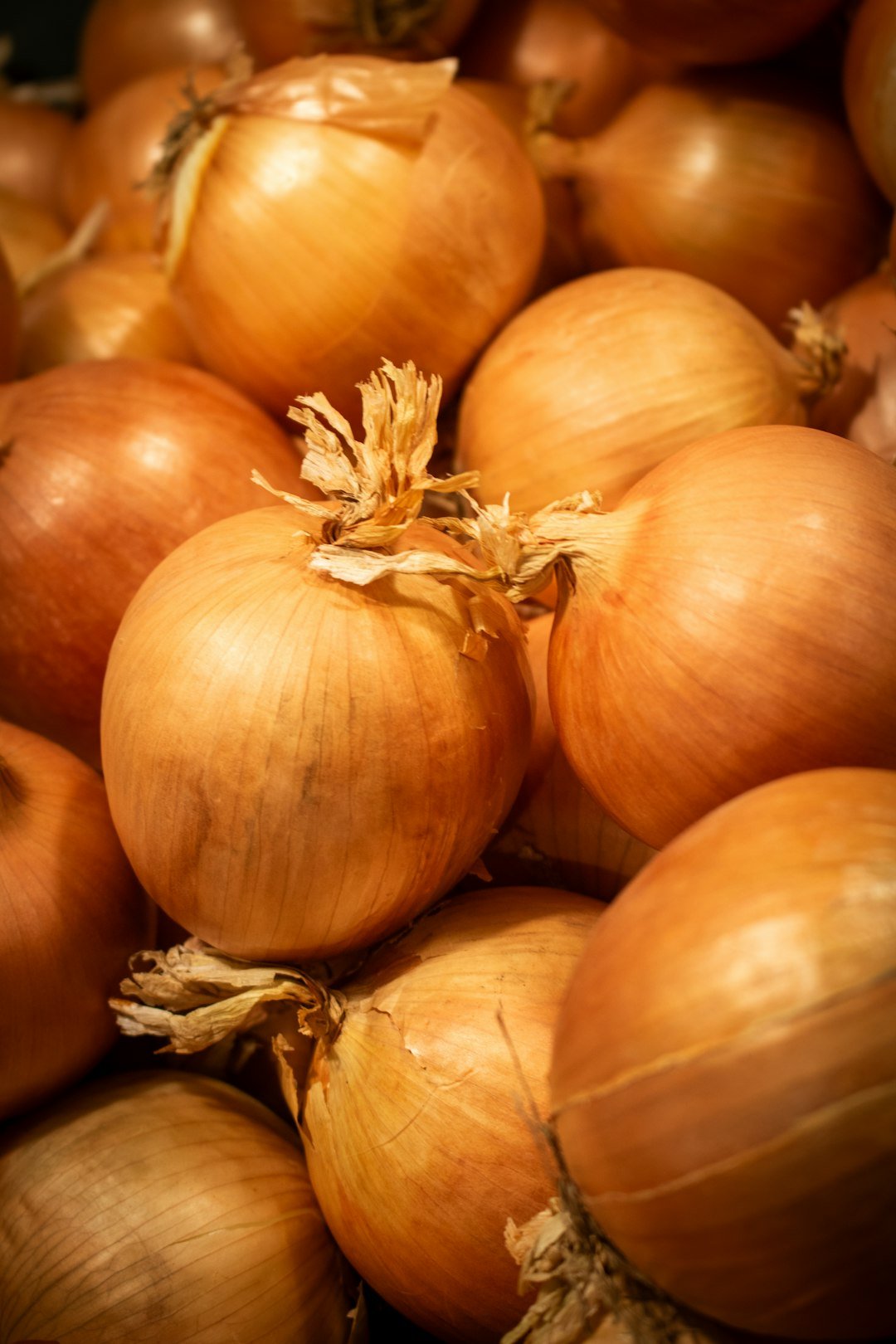 CEBOLLA